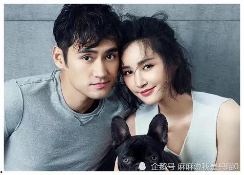 娱乐明星吃瓜小分队,明星吃瓜小分队幕后故事大曝光